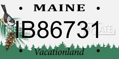 IB86731 Maine License Plate