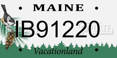 IB91220 Maine License Plate