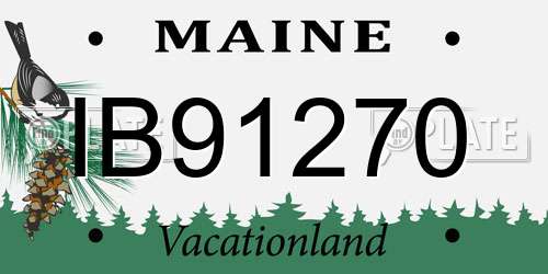 IB91270 Maine License Plate