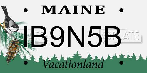 IB9N5B Maine License Plate