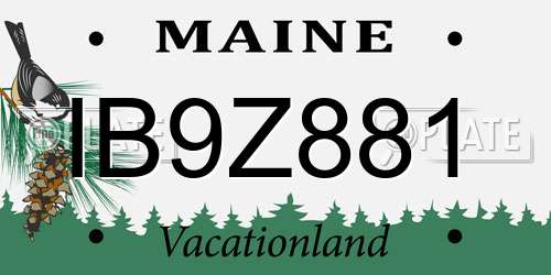 IB9Z881 Maine License Plate