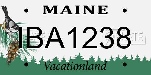 IBA1238 Maine License Plate