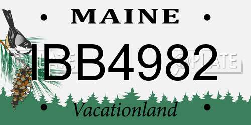 IBB4982 Maine License Plate
