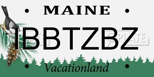 IBBTZBZ Maine License Plate