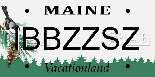 IBBZZSZ Maine License Plate