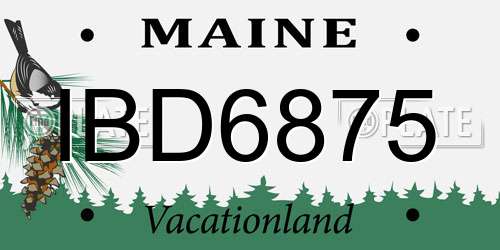 IBD6875 Maine License Plate
