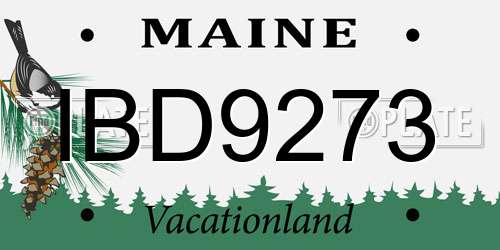 IBD9273 Maine License Plate