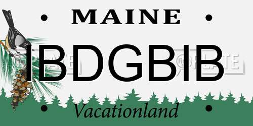IBDGBIB Maine License Plate