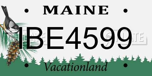 IBE4599 Maine License Plate