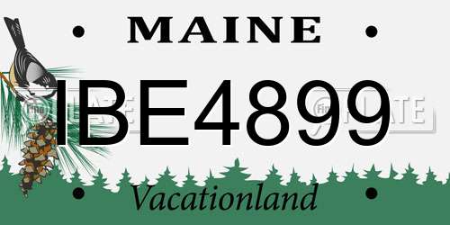 IBE4899 Maine License Plate