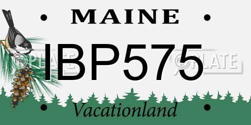 IBP575 Maine License Plate