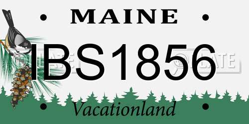 IBS1856 Maine License Plate