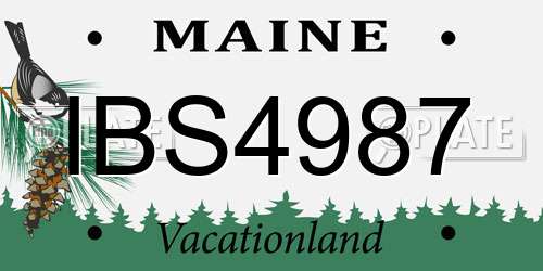 IBS4987 Maine License Plate