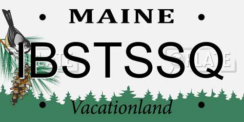 IBSTSSQ Maine License Plate