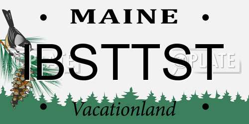 IBSTTST Maine License Plate