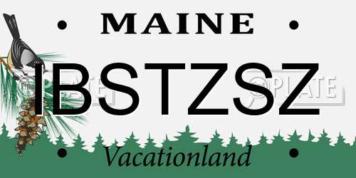 IBSTZSZ Maine License Plate
