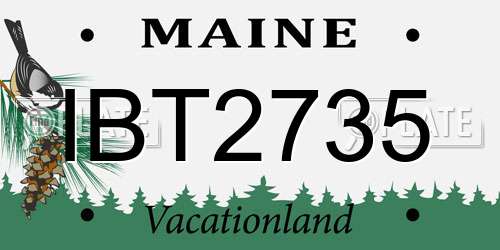 IBT2735 Maine License Plate