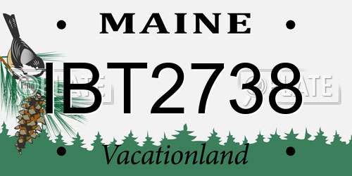 IBT2738 Maine License Plate