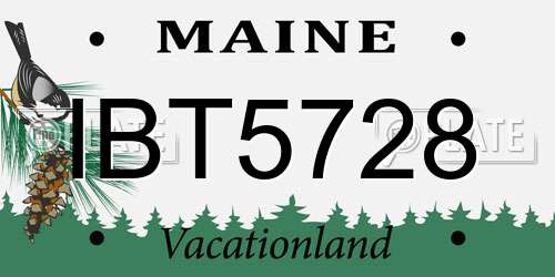 IBT5728 Maine License Plate