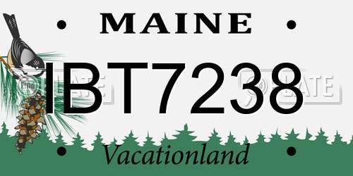 IBT7238 Maine License Plate