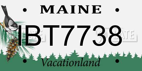 IBT7738 Maine License Plate
