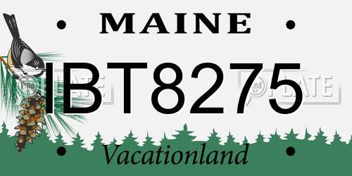 IBT8275 Maine License Plate
