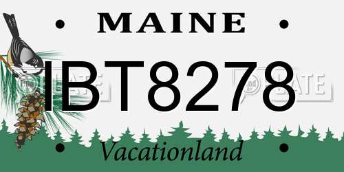 IBT8278 Maine License Plate
