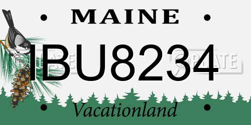 IBU8234 Maine License Plate