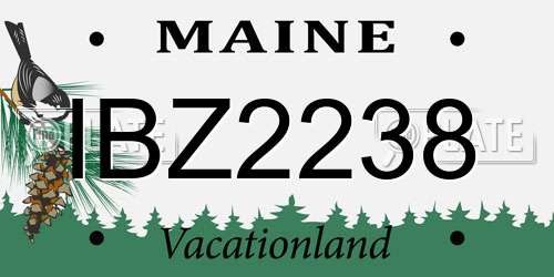 IBZ2238 Maine License Plate