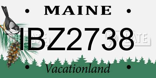 IBZ2738 Maine License Plate