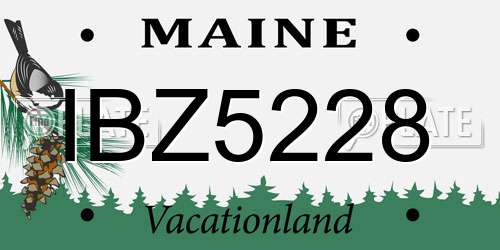 IBZ5228 Maine License Plate