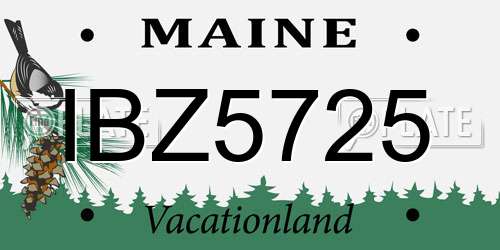 IBZ5725 Maine License Plate