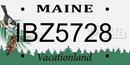 IBZ5728 Maine License Plate
