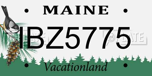 IBZ5775 Maine License Plate