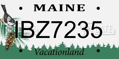 IBZ7235 Maine License Plate