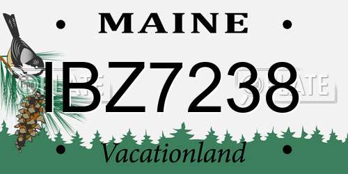 IBZ7238 Maine License Plate