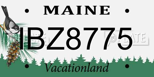 IBZ8775 Maine License Plate