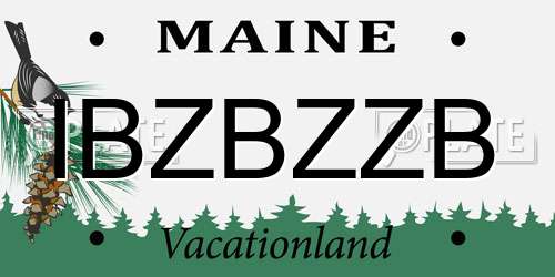 IBZBZZB Maine License Plate