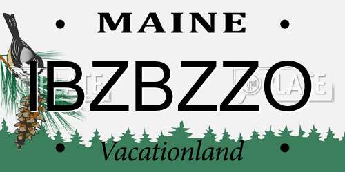 IBZBZZO Maine License Plate