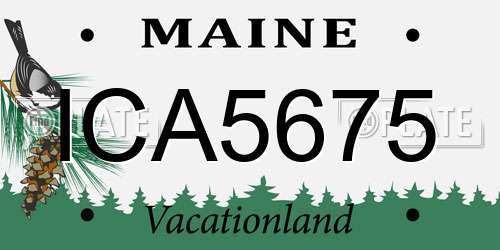 ICA5675 Maine License Plate