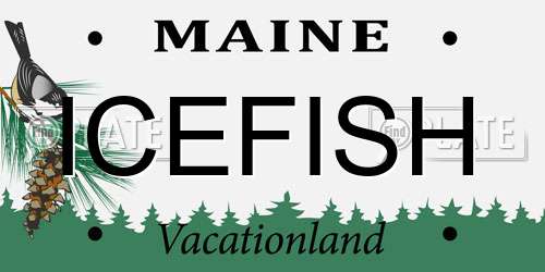 ICEFISH Maine License Plate