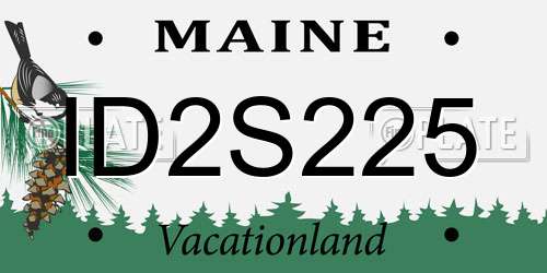 ID2S225 Maine License Plate