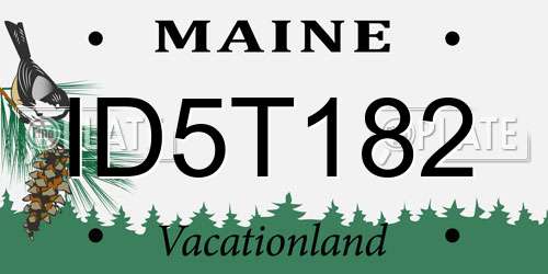 ID5T182 Maine License Plate