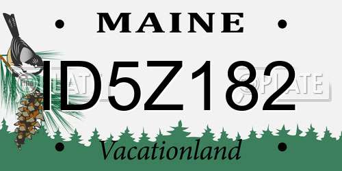 ID5Z182 Maine License Plate