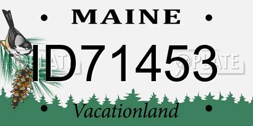 ID71453 Maine License Plate