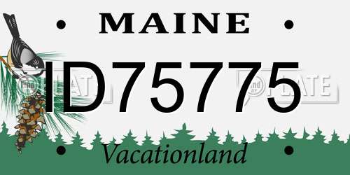 ID75775 Maine License Plate