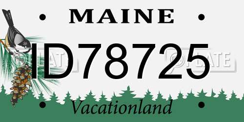 ID78725 Maine License Plate