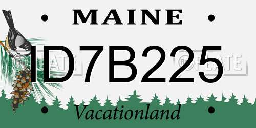 ID7B225 Maine License Plate