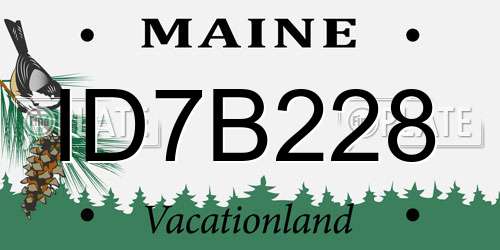 ID7B228 Maine License Plate