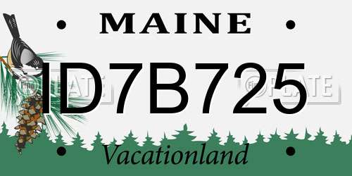 ID7B725 Maine License Plate
